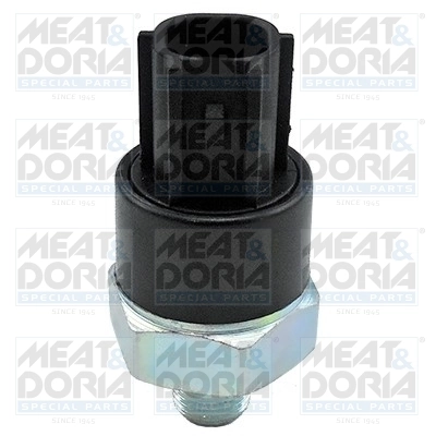 Oil Pressure Switch